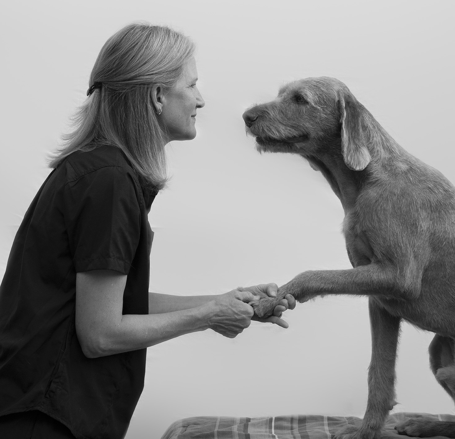 Compartiendo mi experiencia en micoterapia con Herbolario Sol de Invierno